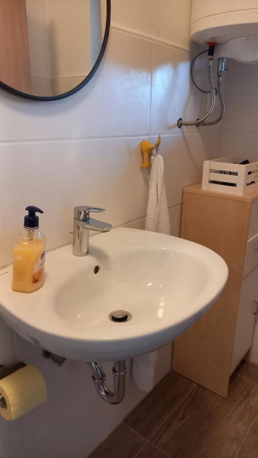 リュブリャナApartma Pod Pugledomアパートメント エクステリア 写真